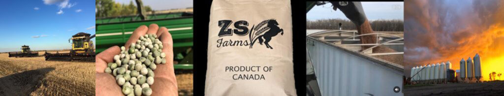 ZS Farms: From Soil to Supper, a Full Circle Approach to Farming in the Flagstaff Region